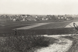 panorama_14