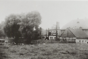 blumenweg_18-1