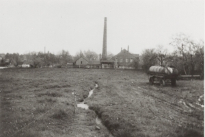 blumenweg_20-2