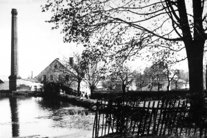 blumenweg_20-1