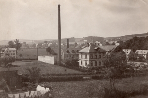 meissnerbleiche