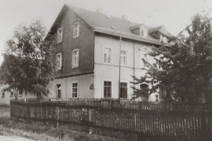 gruene-wiese