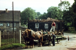 wiesengrund _07
