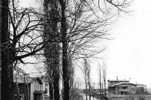 wiesengrund _13