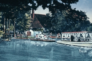 wiesengrund _11