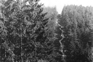 gruenawald_11